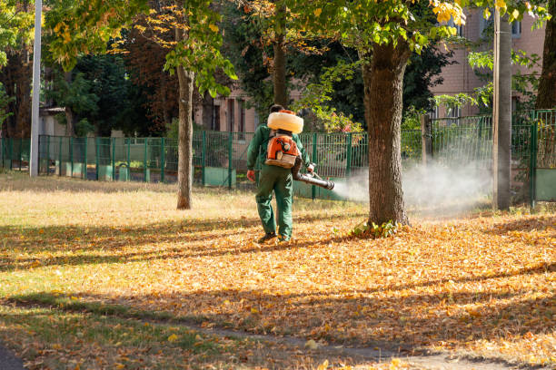Best Residential Pest Control  in Fort Washington, PA