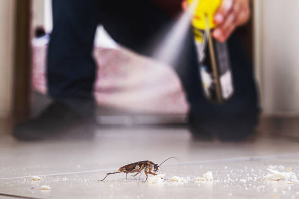 Best Wasp Removal Services  in Fort Washington, PA